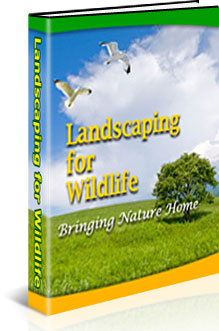 Landscaping for Wildlife