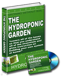 Hydroponics Gardening at Home