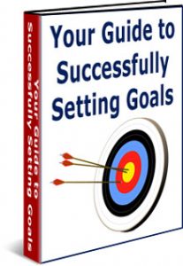 Your Guide to setting goals successfully ebook