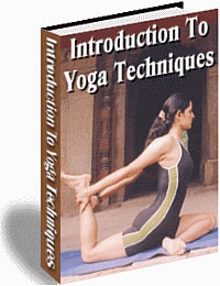 A yoga skills introduction book