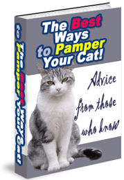 Discover The Best Ways To Care For Your Cat ebook