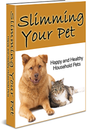 How to Go About Slimming Your Pet