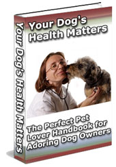 your-dogs-health-matters