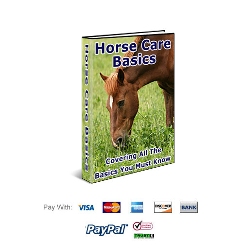 Horse Care - Covering ALL The Basics You Must Know