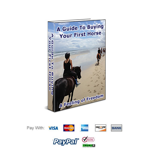 Feeling Freedom - A Guide To Buying Your First Horse