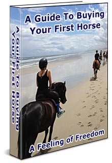 an eBook about buying your first horse