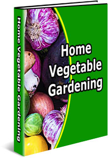home vegetable gardening ebook cover