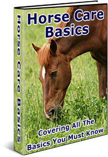 Complete Guide to Horse Care Basics
