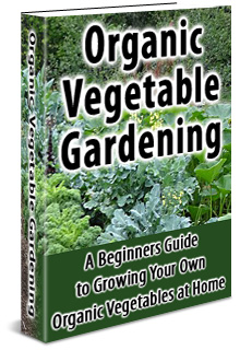 Organic Vegetable Gardening - a beginners guide to organic vegetable gardening