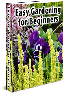 Gardening for Beginners eBook
