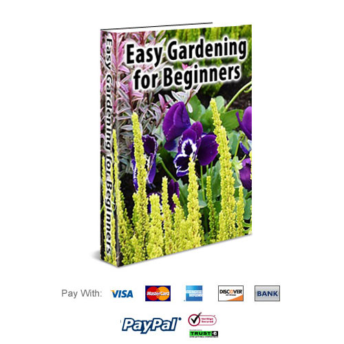 Easy Gardening For Beginners