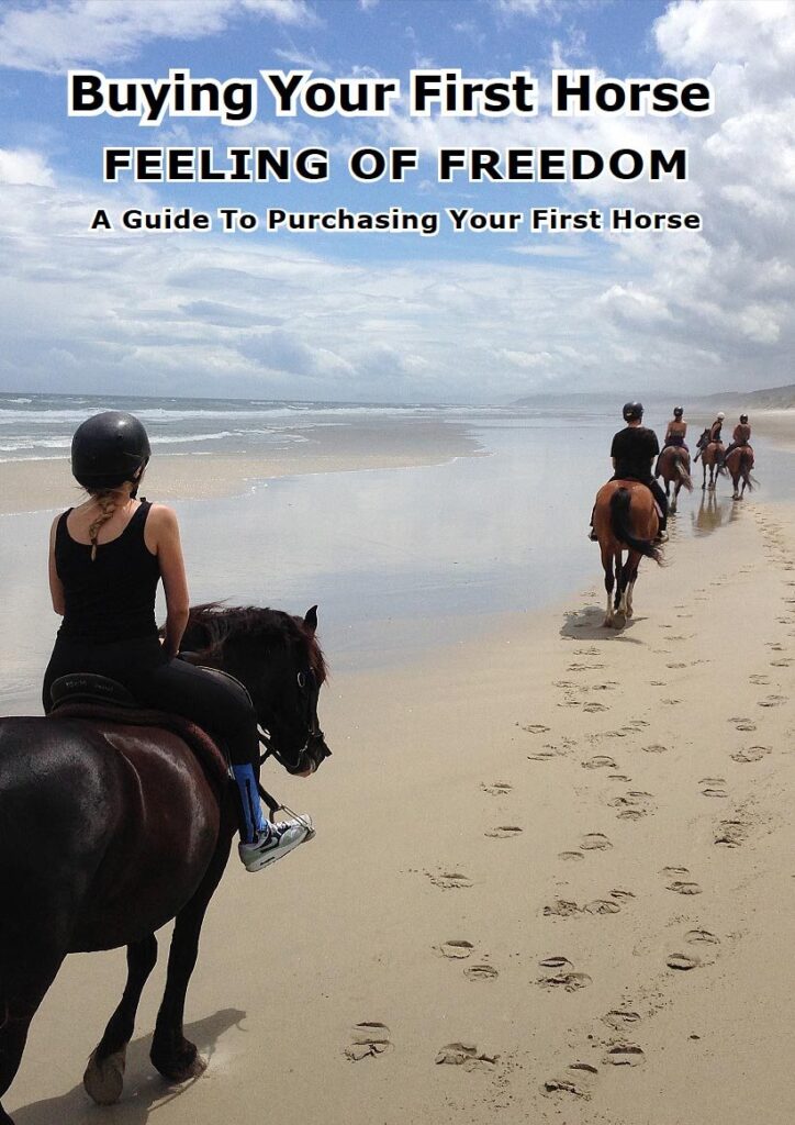 first horse cover ebook