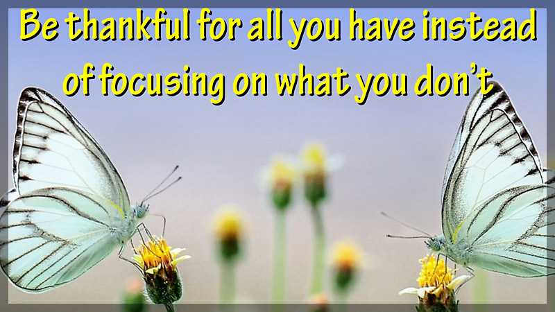 Self-Improvement Quotes - be thankful for all you have not what do not have