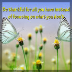 be thankful for all you have quote