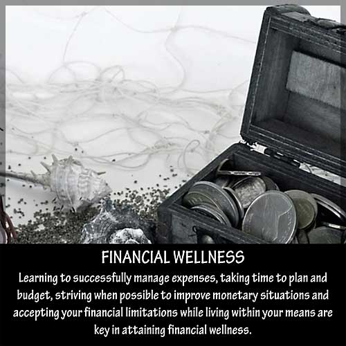 21 Financial Wellness