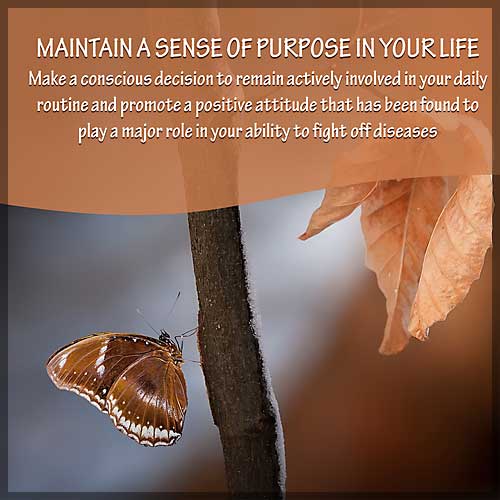 9 Maintain A Sense Of Purpose