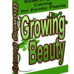 how to grow exotic plants