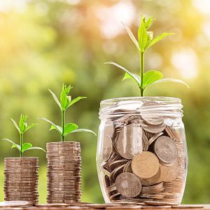 wealth creation ideas and education