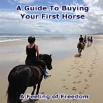 a guide for buying your first horse ebook