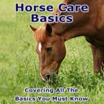 an ebook about horse care basicss