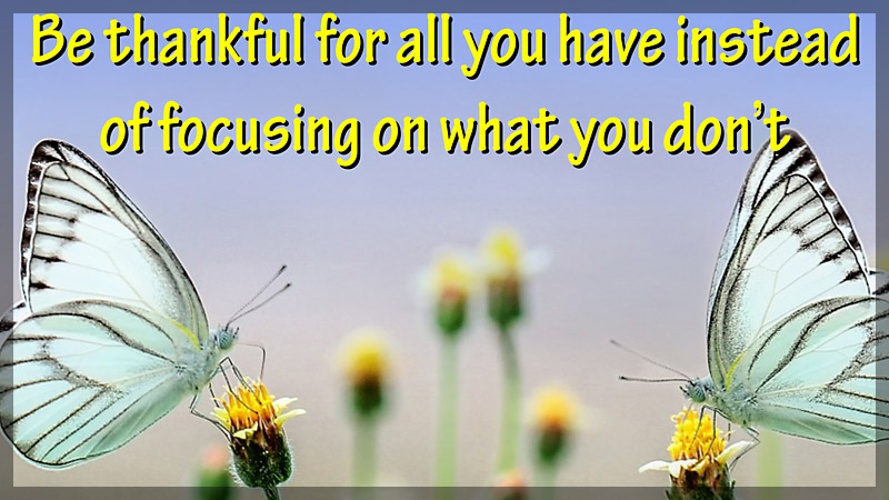 be thankful for all you have not what do not have
