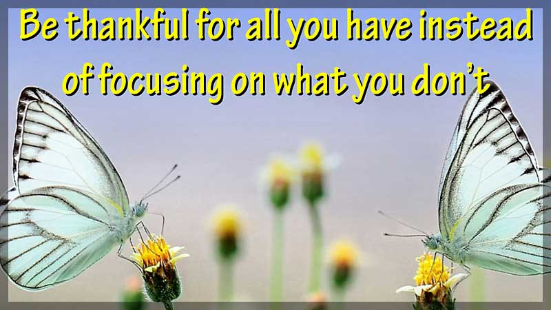 be thankful for all you have not what do not have