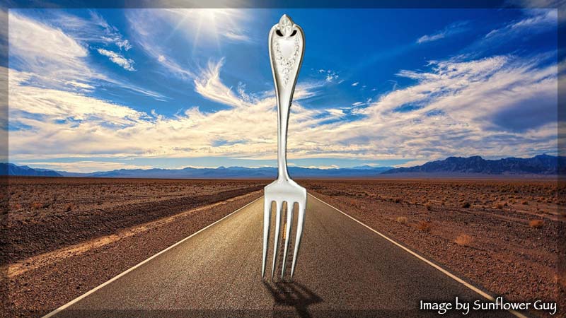 The Celestine Prophecy Review — Practical Life Lessons moving forward into a fork in the road